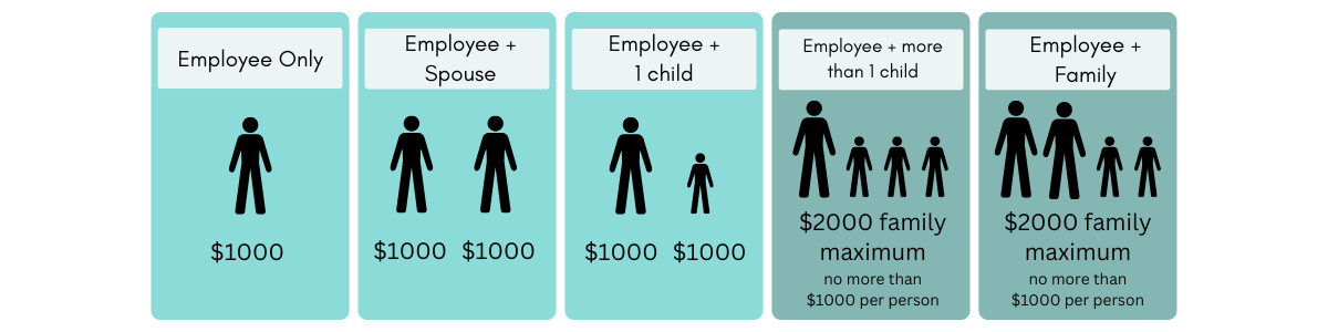 An infographic titled “What does this look like if you pick Plan 3?” showing five coverage tiers with icons and HRA amounts. “Employee Only” shows one person with $1000. “Employee + Spouse” shows two people, each with $1000. “Employee + 1 child” shows one adult and one child, each with $1000. “Employee + more than 1 child” shows one adult and multiple children with a $2000 family maximum, capped at $1000 per person. “Employee + Family” shows two adults and children with a $2000 family maximum, capped at $1000 per person. An infographic titled “What does this look like if you pick Plan 3?” showing five coverage tiers with icons and HRA amounts. “Employee Only” shows one person with $1000. “Employee + Spouse” shows two people, each with $1000. “Employee + 1 child” shows one adult and one child, each with $1000. “Employee + more than 1 child” shows one adult and multiple children with a $2000 family maximum, capped at $1000 per person. “Employee + Family” shows two adults and children with a $2000 family maximum, capped at $1000 per person.